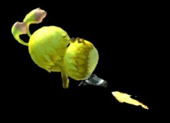 ZZZ_UNK_Shin Samurai Spirits 2 – Haoumaru Jigoku Hen (Bad CHR) Rom